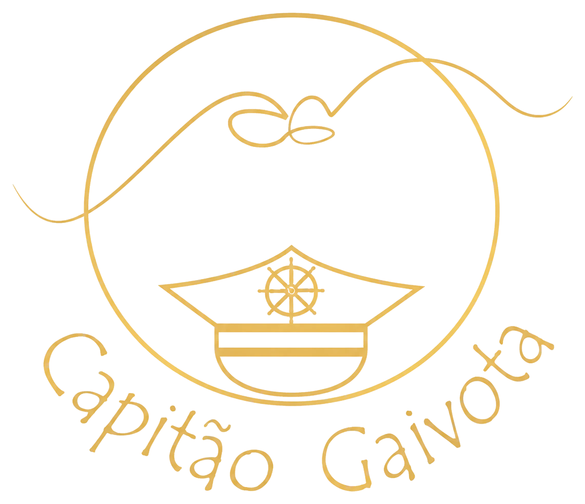 Capitão Gaivota